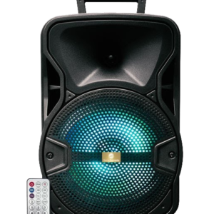 PARLANTE 1000 P.M.P.O. SD-803 SERIE DORADA