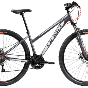 BICICLETA MTB RODADO 29 ALUMINIO WISH 295 OLMO