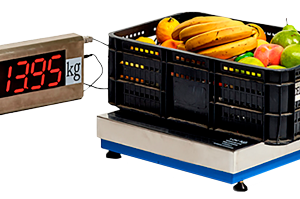 BALANZA DIGITAL  MODELO MASTER CON CABEZAL SEPARADO