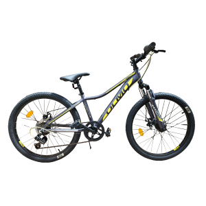 BICICLETA MTB RODADO 24 ALUMINIO WISH 240 OLMO