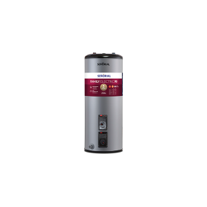 TERMOTANQUE ELECTRICO 90LTS FAMILY TESLFP-90 AR SENORIAL
