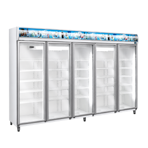 EXHIBIDORA VERTICAL 5 PUERTAS EV5 FRIDER
